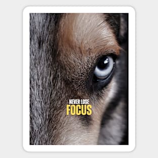 Never Lose Focus Wolf Head Motivational Quote Magnet